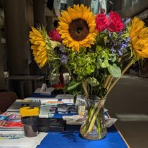 Picture of sunflowers and SM&Society banner